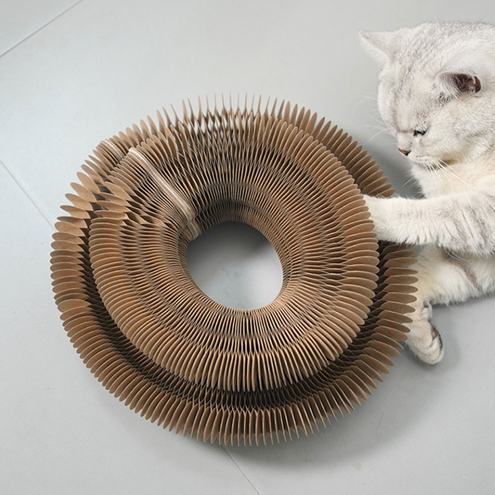 Magic Organ Cat Scratching Boa - Cat Tunnel Toy 评论和价格