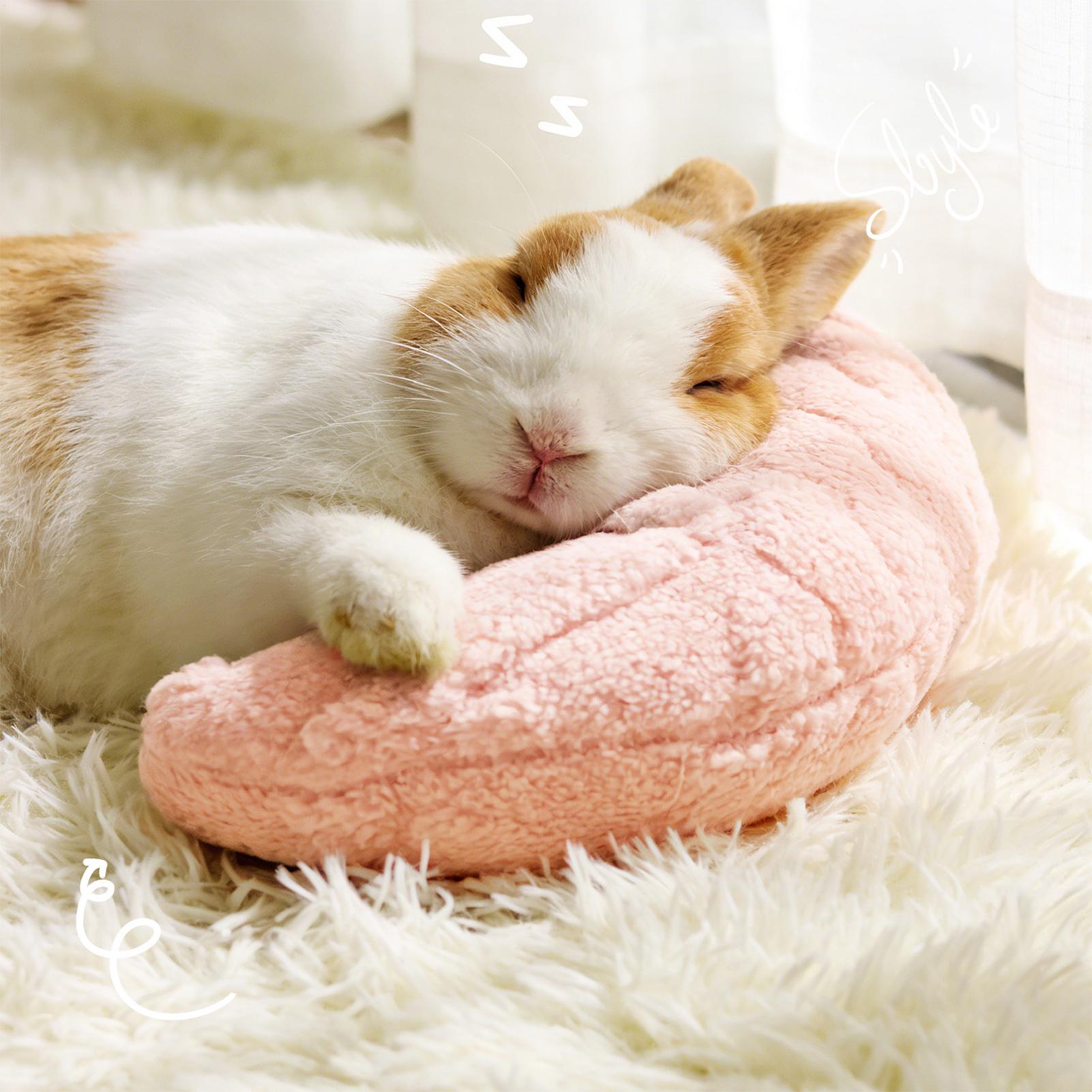 Pet Little Pillow Fashion Neck - Pet Supplies Vending Machine 评论和价格